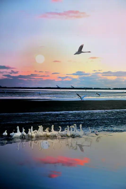 震惊！盘锦幼儿园虐童案一审宣判：老师被判两年，幼儿受害惨痛曝光！  
近日，辽宁