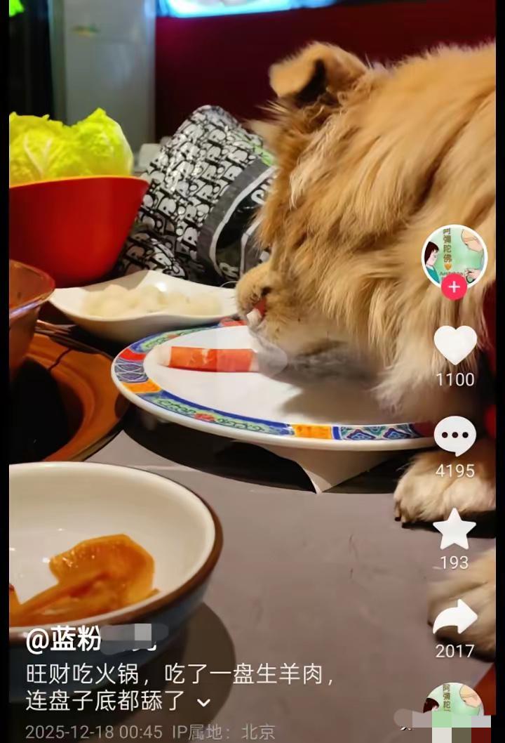 北京一女子带狗去餐厅吃铜锅涮肉，让狗上桌舔盘子吃肉并把视频发在网上，多数网友谴责