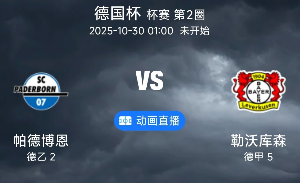 04 帕德博恩 VS 勒沃库森(情报）1.帕德博恩身处德乙中游（第12，8轮10