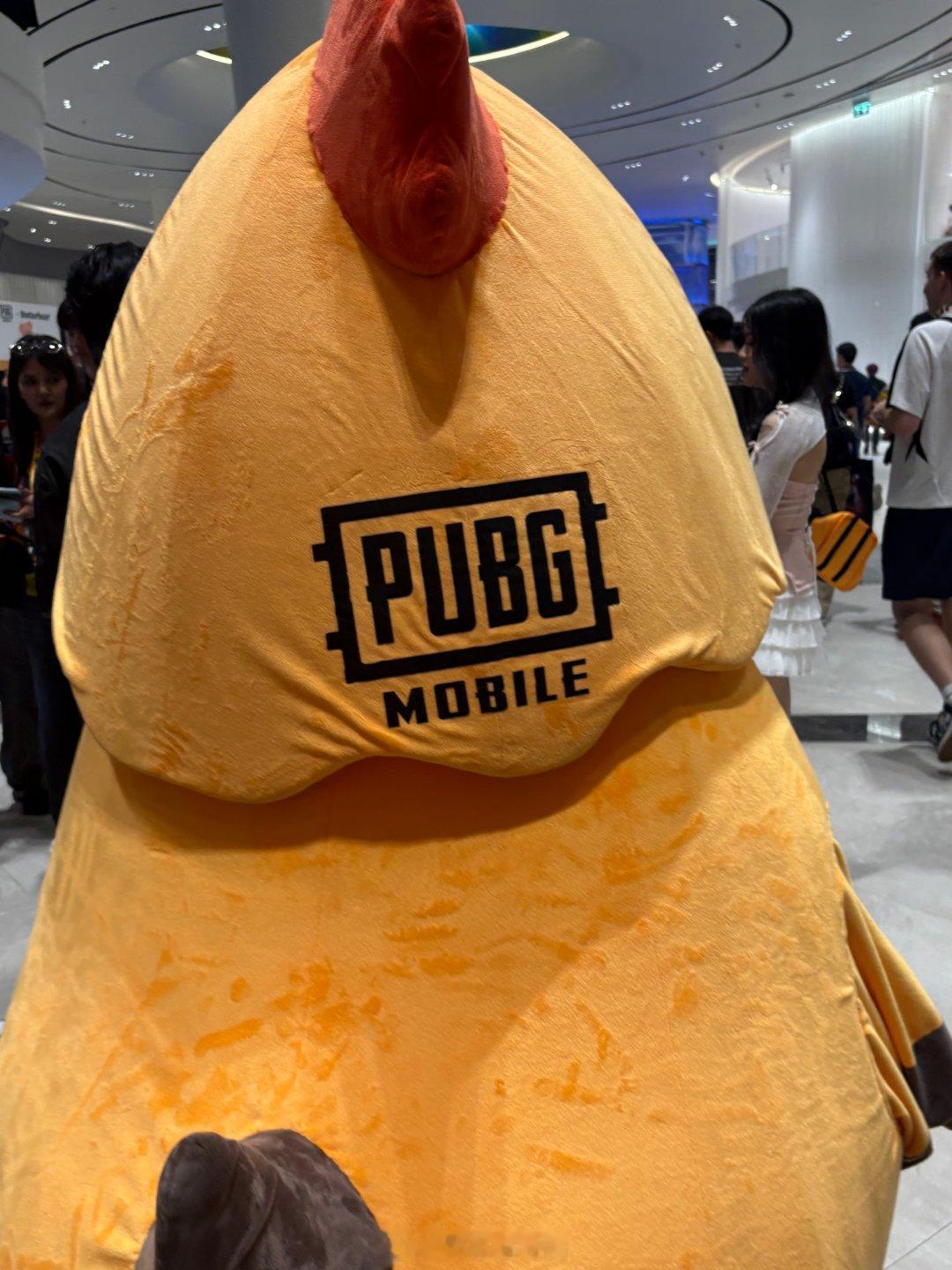 路酱的赛事存档 winner winner~ chicken dinner~和平