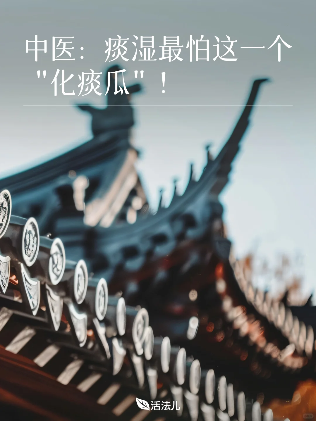 这个夏季第一瓜浑身都是宝，痰湿最怕它！
