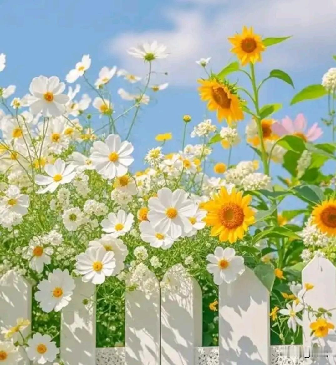 别总拿自己不为人知的日常，去对标他人精心呈现的高光时刻。放轻松些，多数光鲜都带着