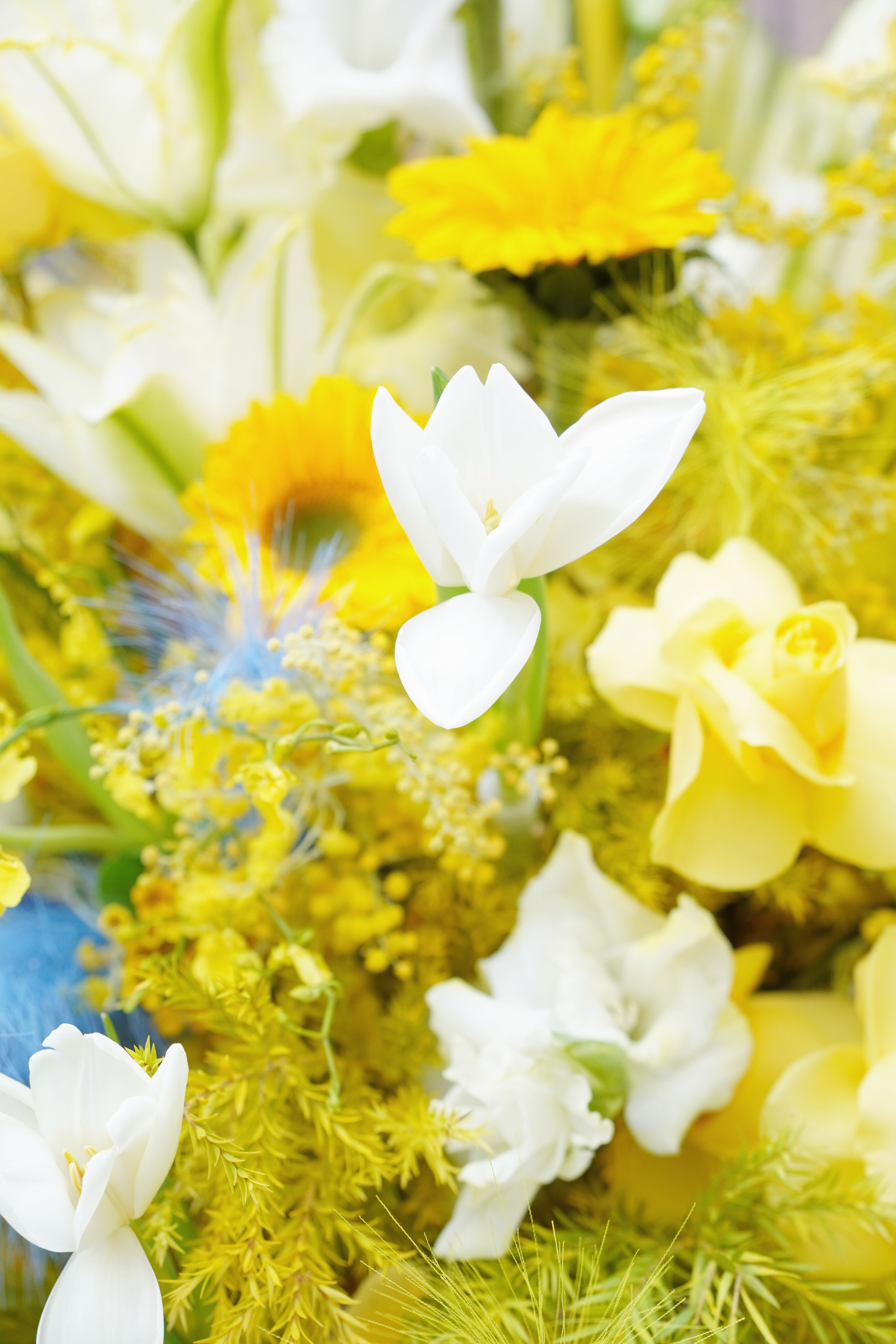 女人一定要温温柔柔的吗？死犟死犟的不行吗？中年少女了，把自己从新养一遍。闭嘴，微