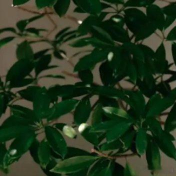 乔欣这个人，原来剧里面和她本人最适配的，并不是关雎尔，而是曲筱绡！她可是超级白富