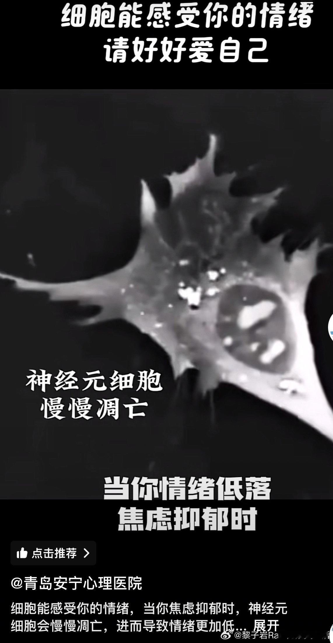 我一直都是精简社交。不加乱七八糟的群，不交乱七八糟的朋友，不去不三不四的饭局。每
