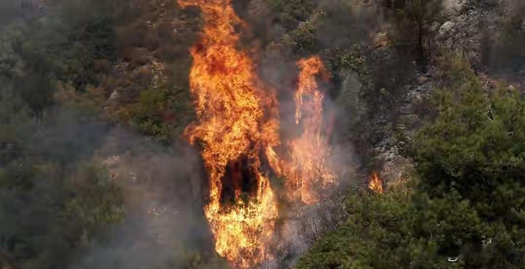 以色列太狠了，故意放火把黎巴嫩的千年橄榄球烧了，以色列已经疯了，谁都管不了他的所