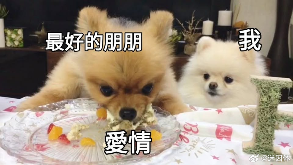 嘎嘎炫memes迷译图
