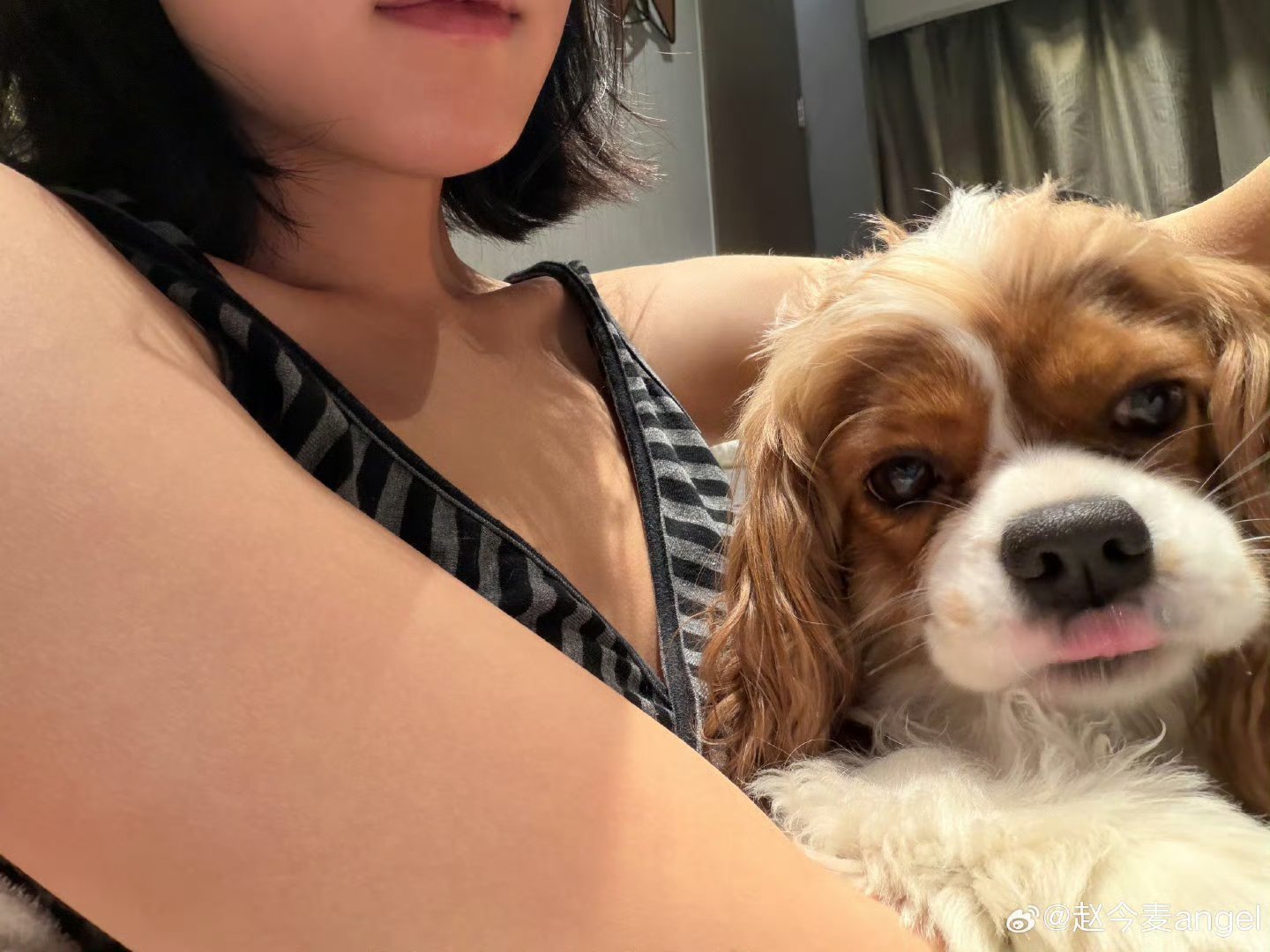 赵今麦抱拿铁合照图片里面出现的两位都很萌。 