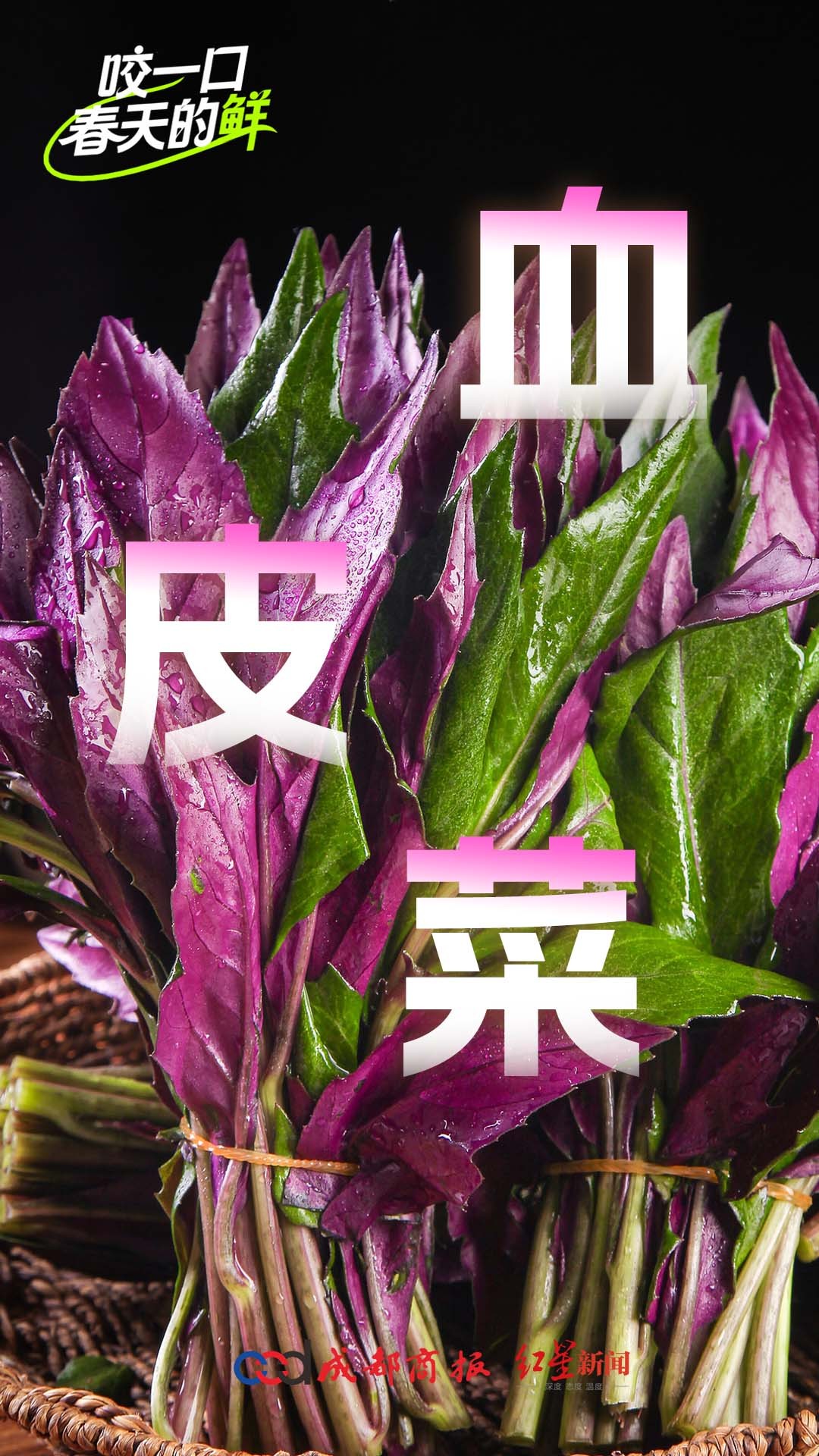 #开春必吃的9种春菜#【一口咬住整个春天！#春菜正在大量上市#】春风吹醒田间鲜，