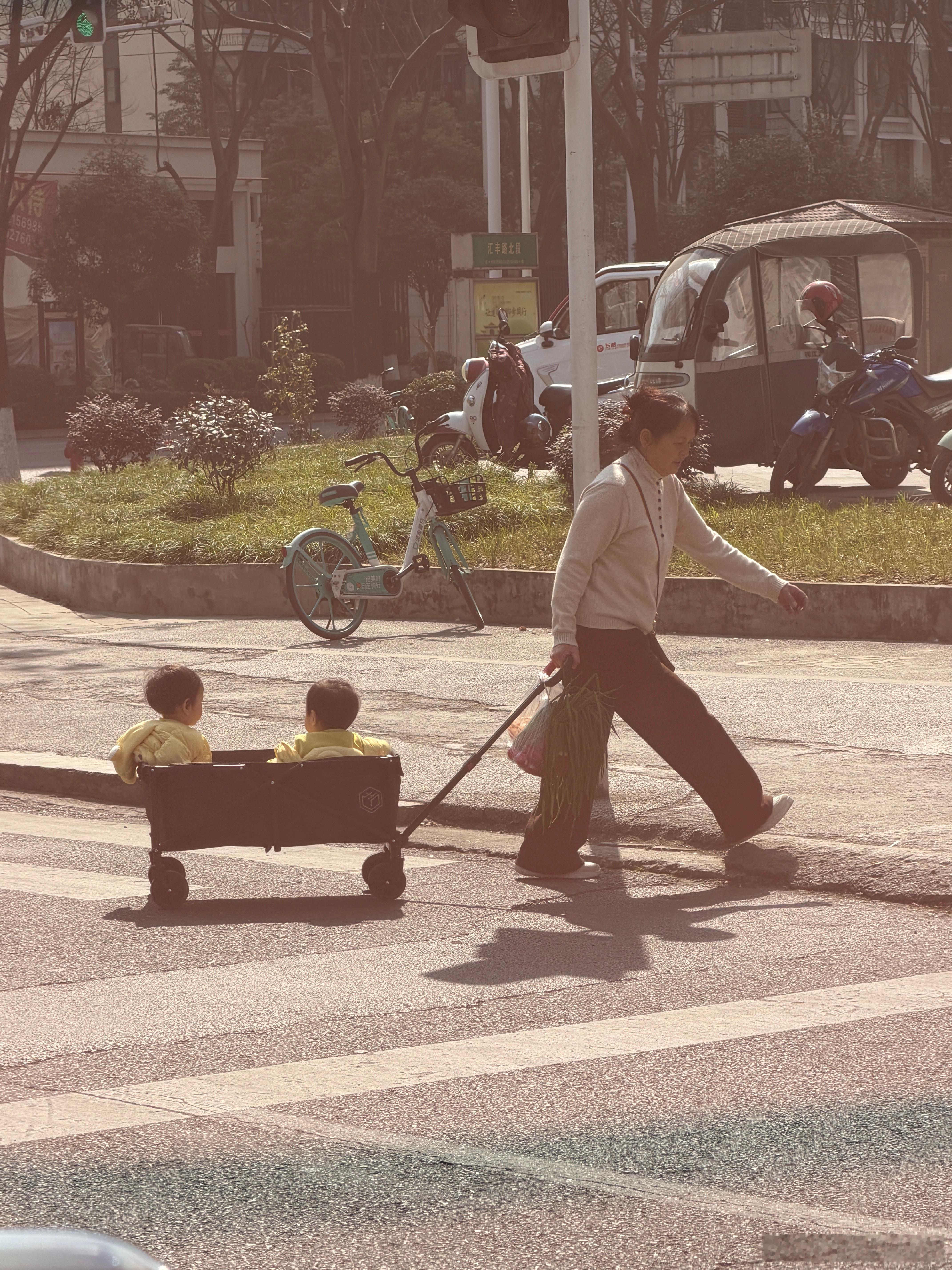 这个拖车的作用不是拉小孩的 这样很危险好吧我的日常plog