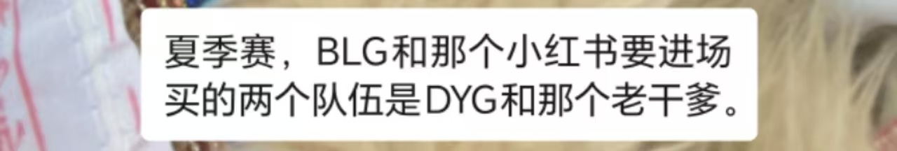 夏季赛，BLG和那个小红薯要进场买的两个队伍是DYG和LGD[思考] 