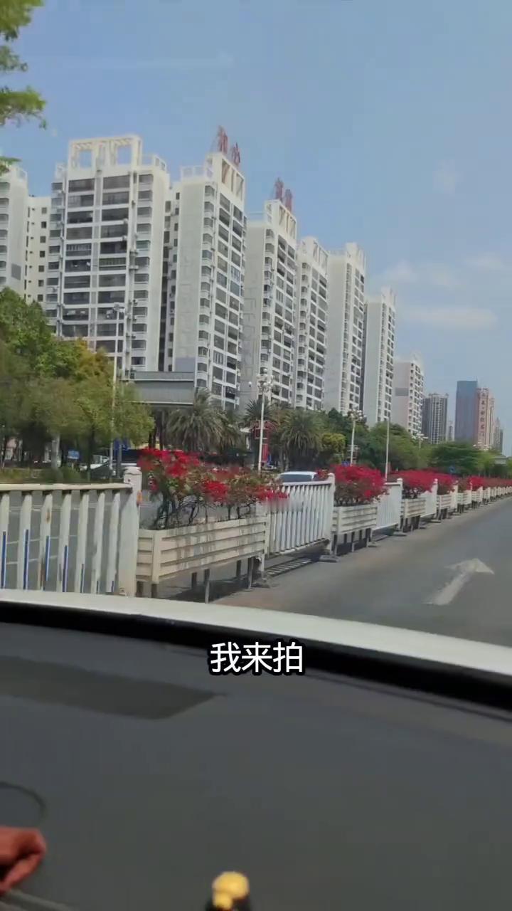 玉林市是我的美丽家乡。
我的城市我来拍，镜头里藏着我的爱。矮街角的花映着窗台，随