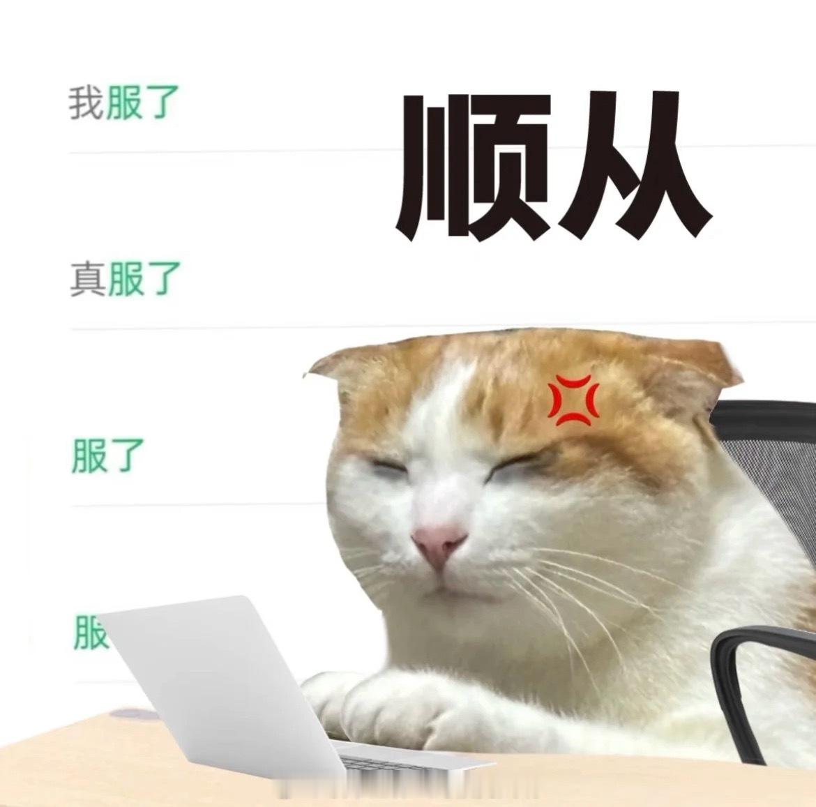 👩‍🏫：“同事们好”[老师好]：“好，很好，非常好” ​​​
