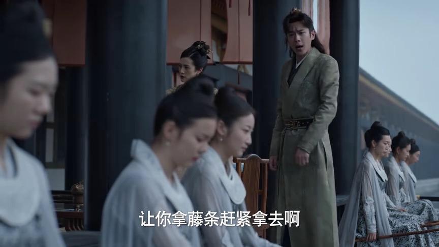 范闲：还愣着干什么？去拿藤条，可怜的李承平呀，而且我严重怀疑宜贵嫔是专门做给范闲