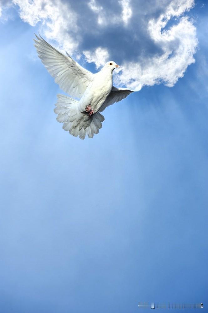 心怀热爱，踏实做事，温暖他人，不负此生。