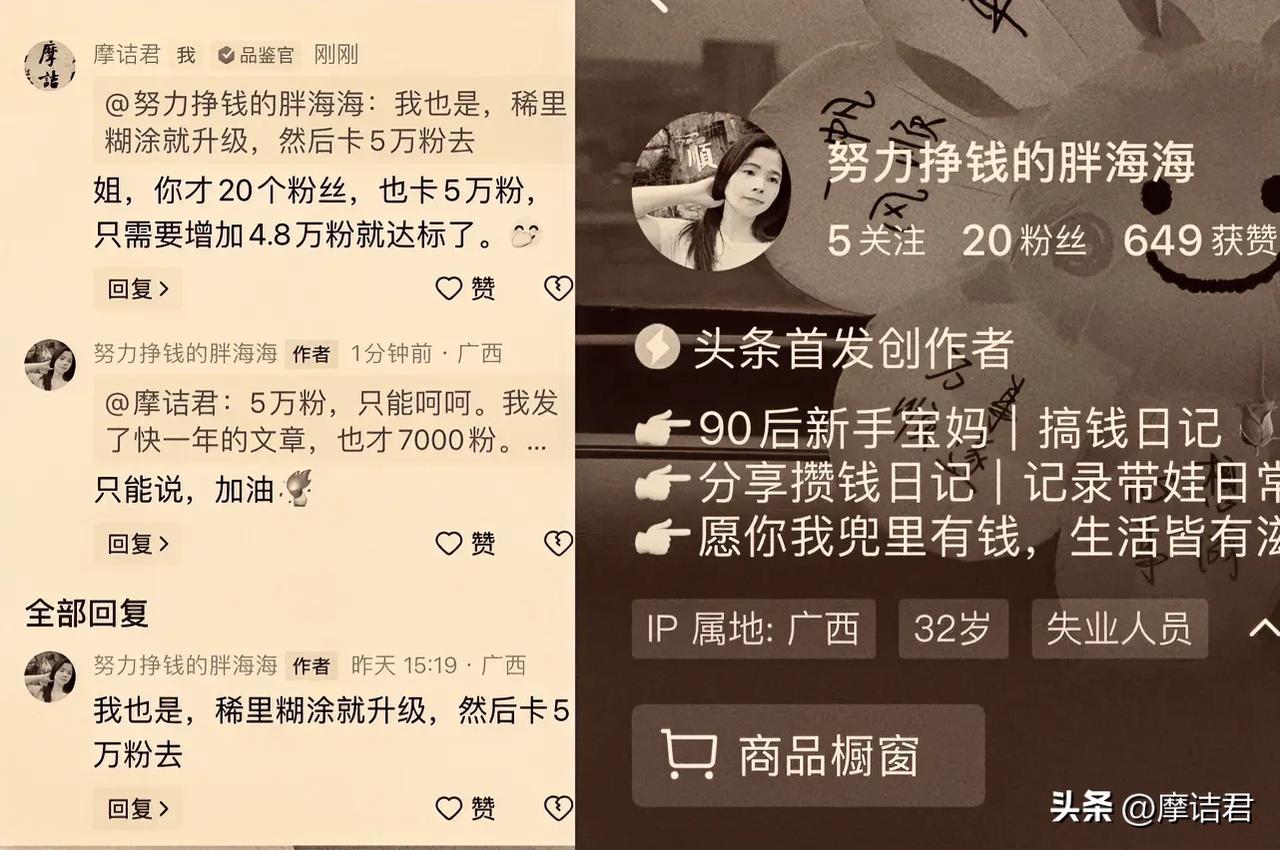 #秋日生活打卡季#
最近因为头条的中视频计划下架，创作者伙伴计划横空出世。

摩