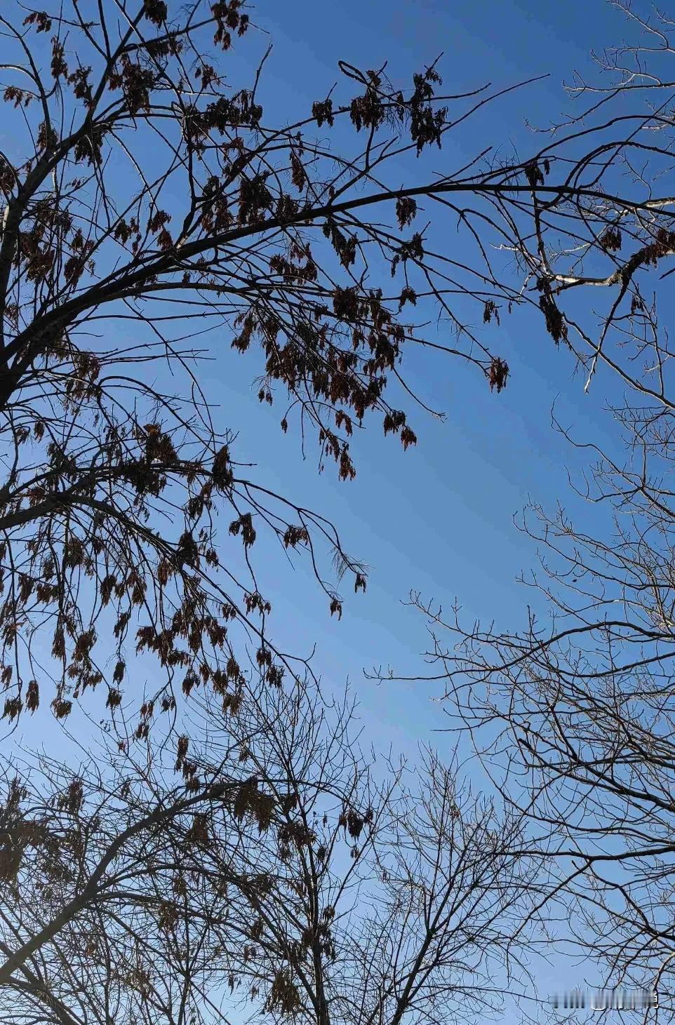 我的今日状态：😁轻松愉快
我这里的天气：☀️晴天