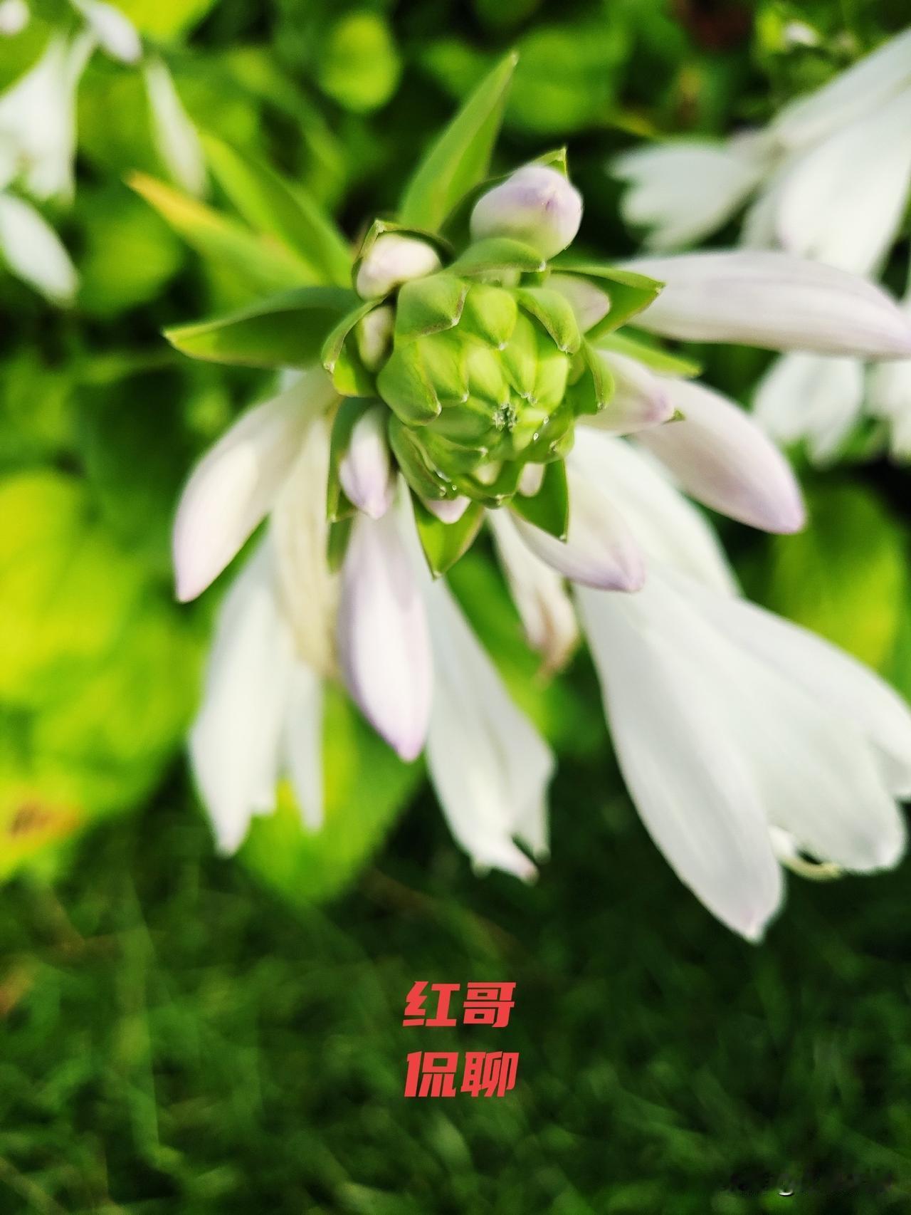 对于人大一周两次通报蒋某某之事，请网上有些人不要吐槽人大，我觉得人大的勇气值得肯