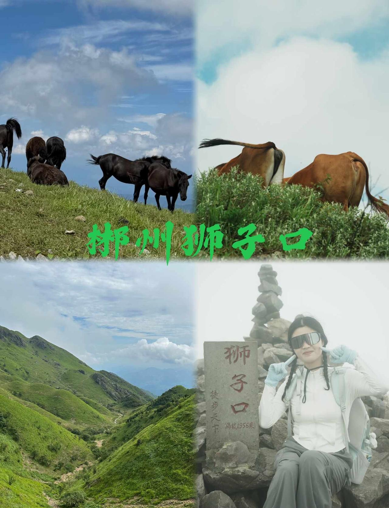郴州狮子口‑正穿 / 反穿（精简攻略）
[微笑]起点：来洋洞‑老曹农家乐，全程约