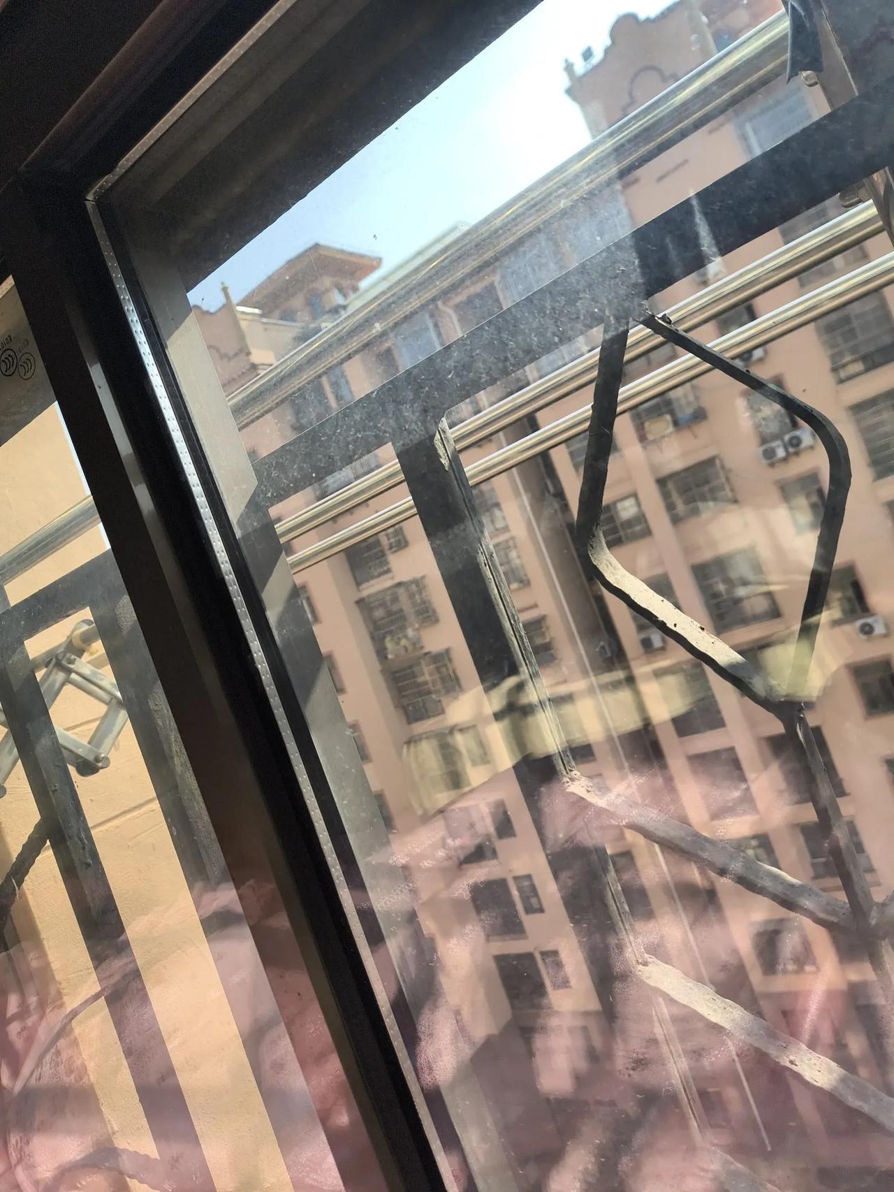 这么好的应该在家里窝着