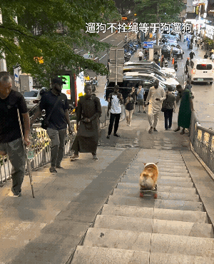 猛一看还认为在外国，最后看到汽车上的字才知道是在国内！[捂脸]
