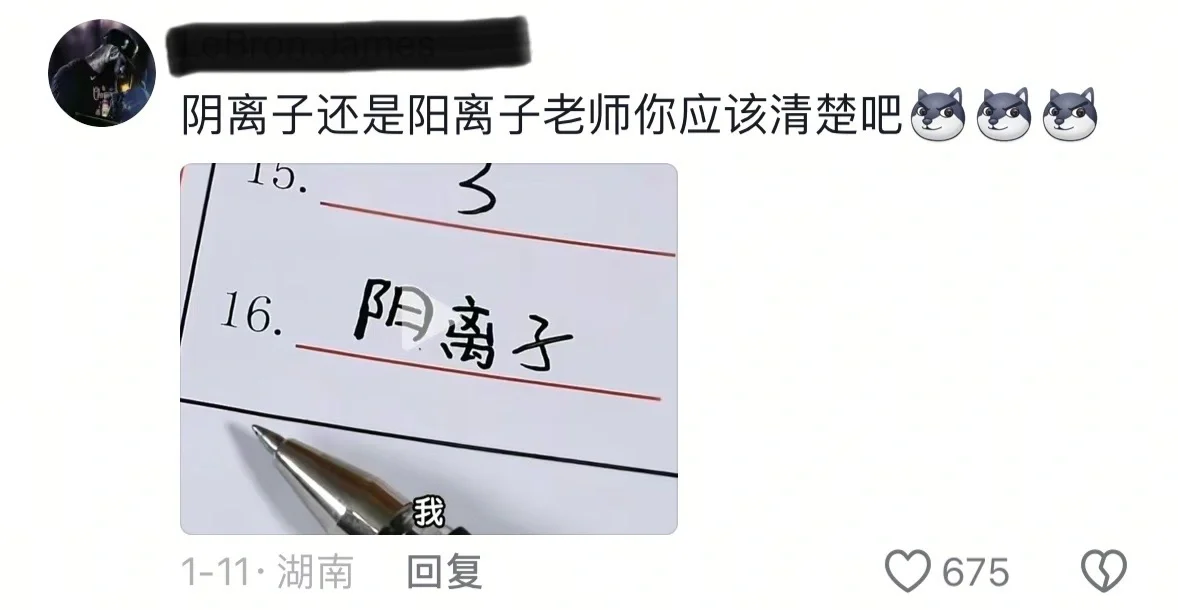 老师快捞捞我