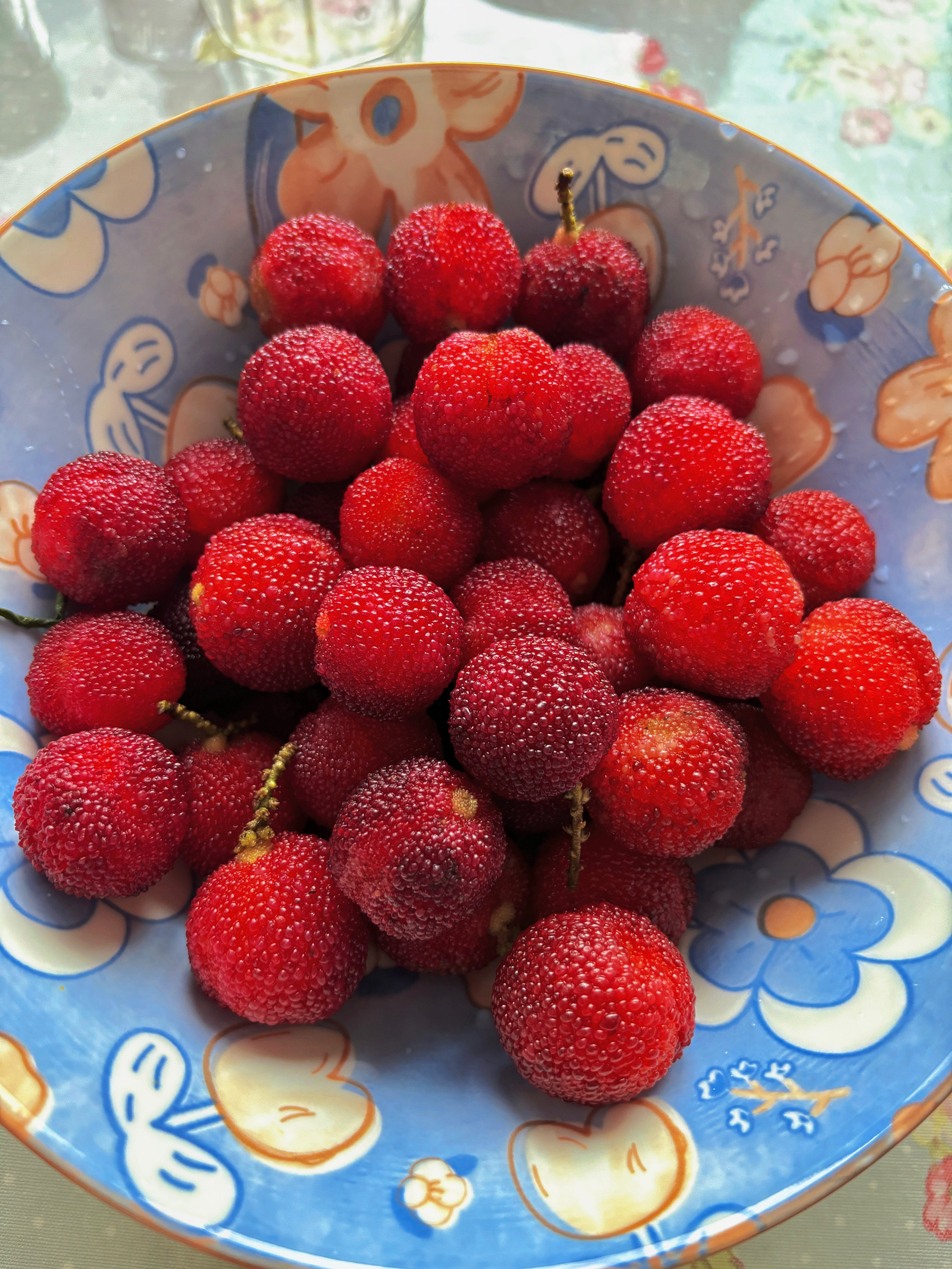 热情的邻居隔三差五送来当地美食新鲜水果和蔬菜，今日份采摘下来洗好的杨梅[心]当然