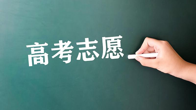 他家是女孩，当初高考时就奔着考公考编去的。学了计算机专业。

都说计算机也是考公