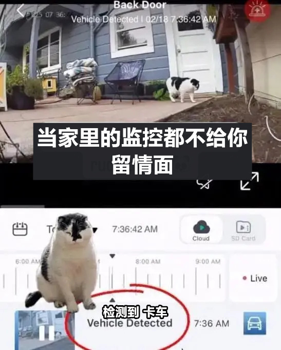 叭！！！（9gag）今日meme 今日memes