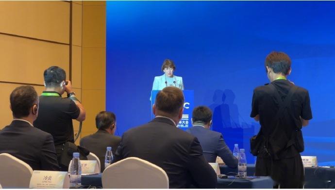 9月27日，2025世界新能源汽车大会在海口举办，德国汽车工业协会主席 Hild