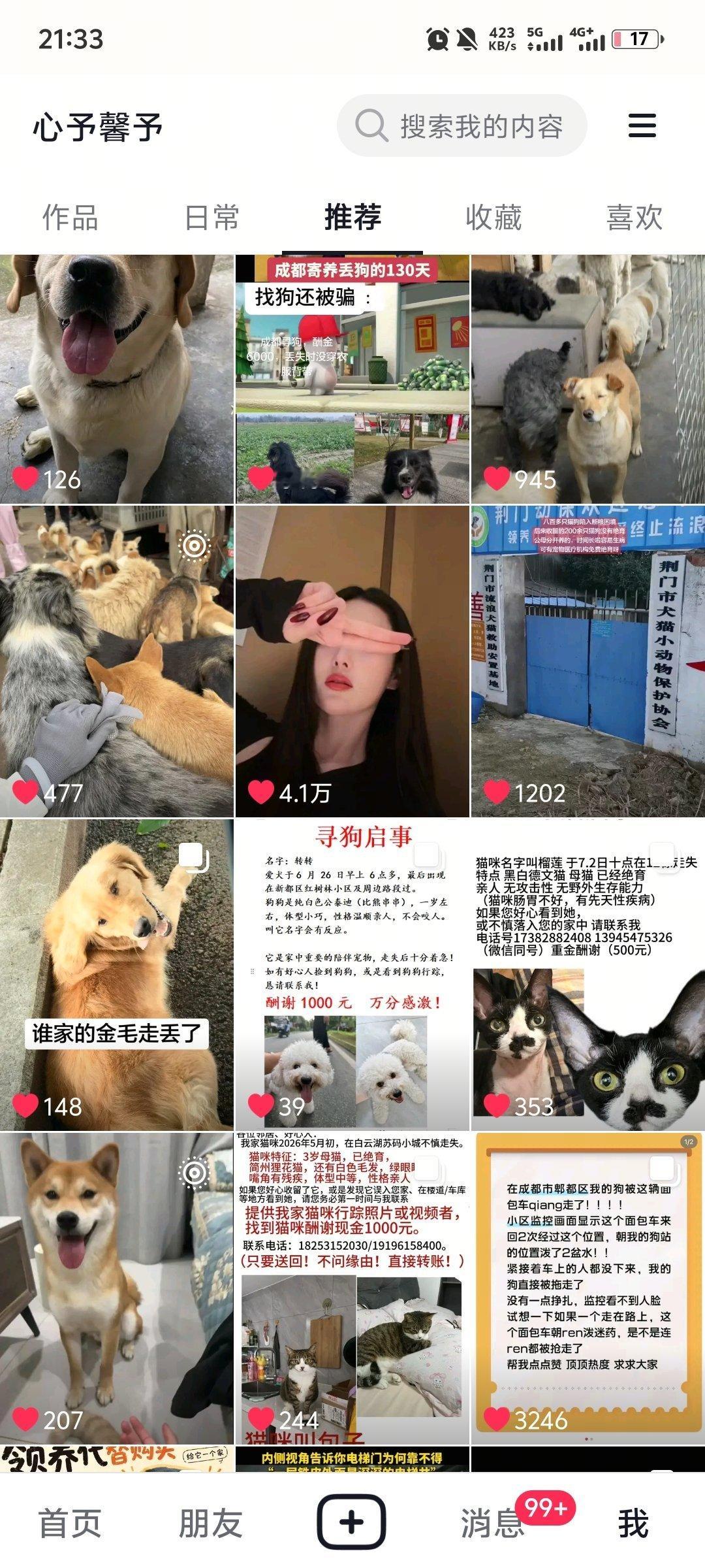当我发现推荐的视频会被关注我的人看到后，，，我的推荐除了我姐，就是助力找猫找狗。