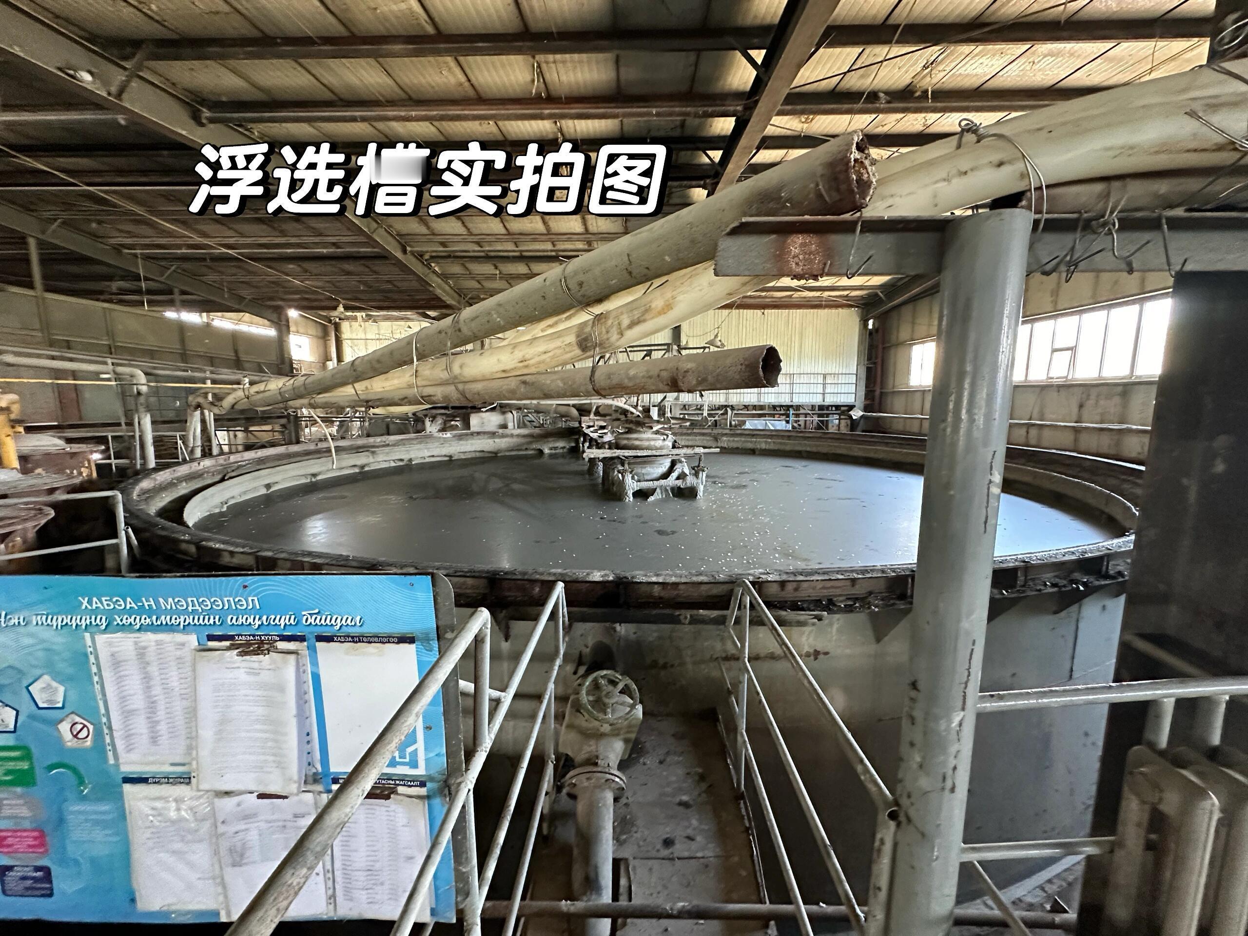 溺亡学生同学称浮选槽里是矿浆 搜了下浮选槽的图掉进去就是窒息，腐蚀，强力搅拌难以