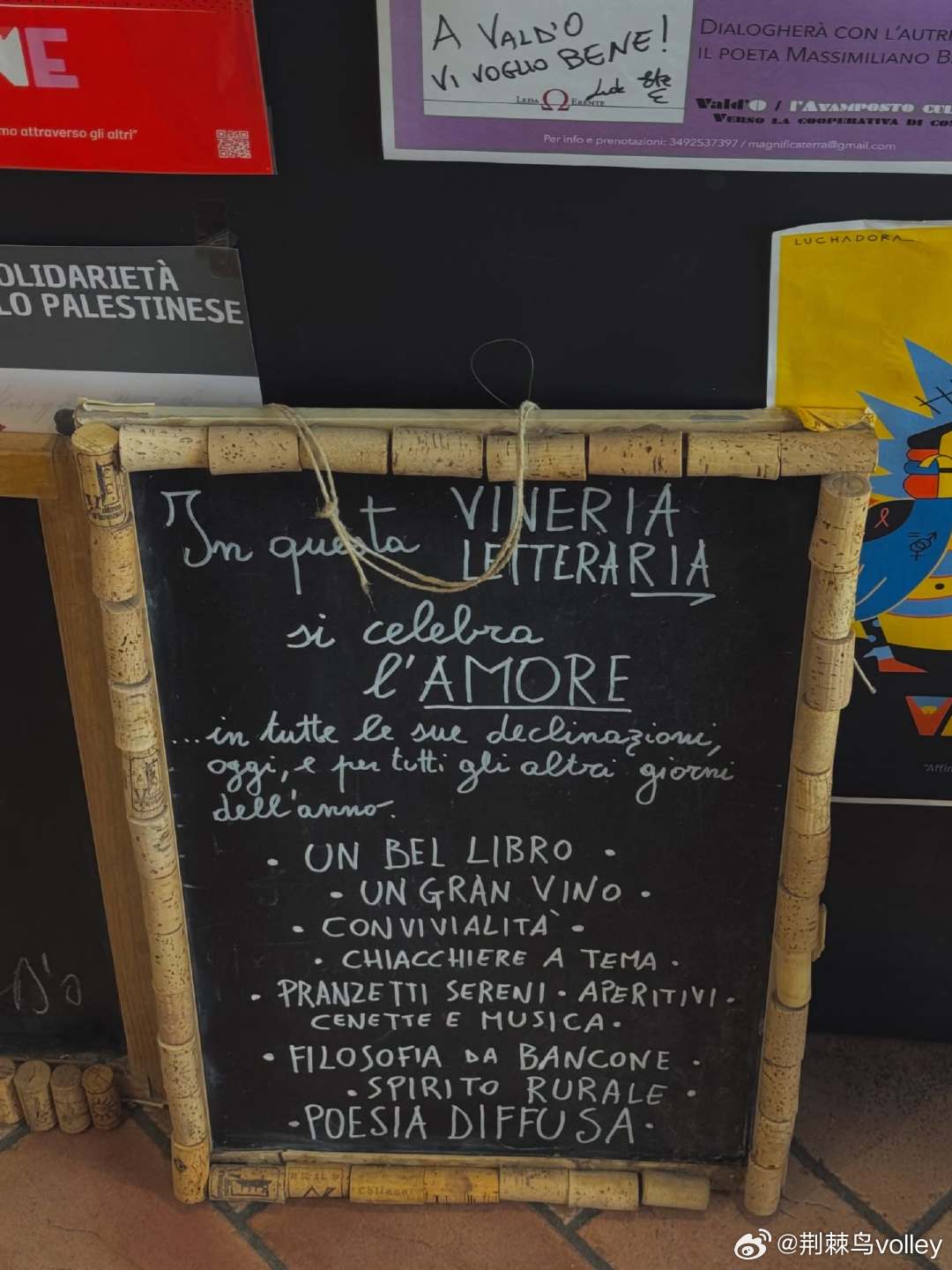 安娃的休闲时光！女排 意大利女排联赛 排球 荆棘鸟volley