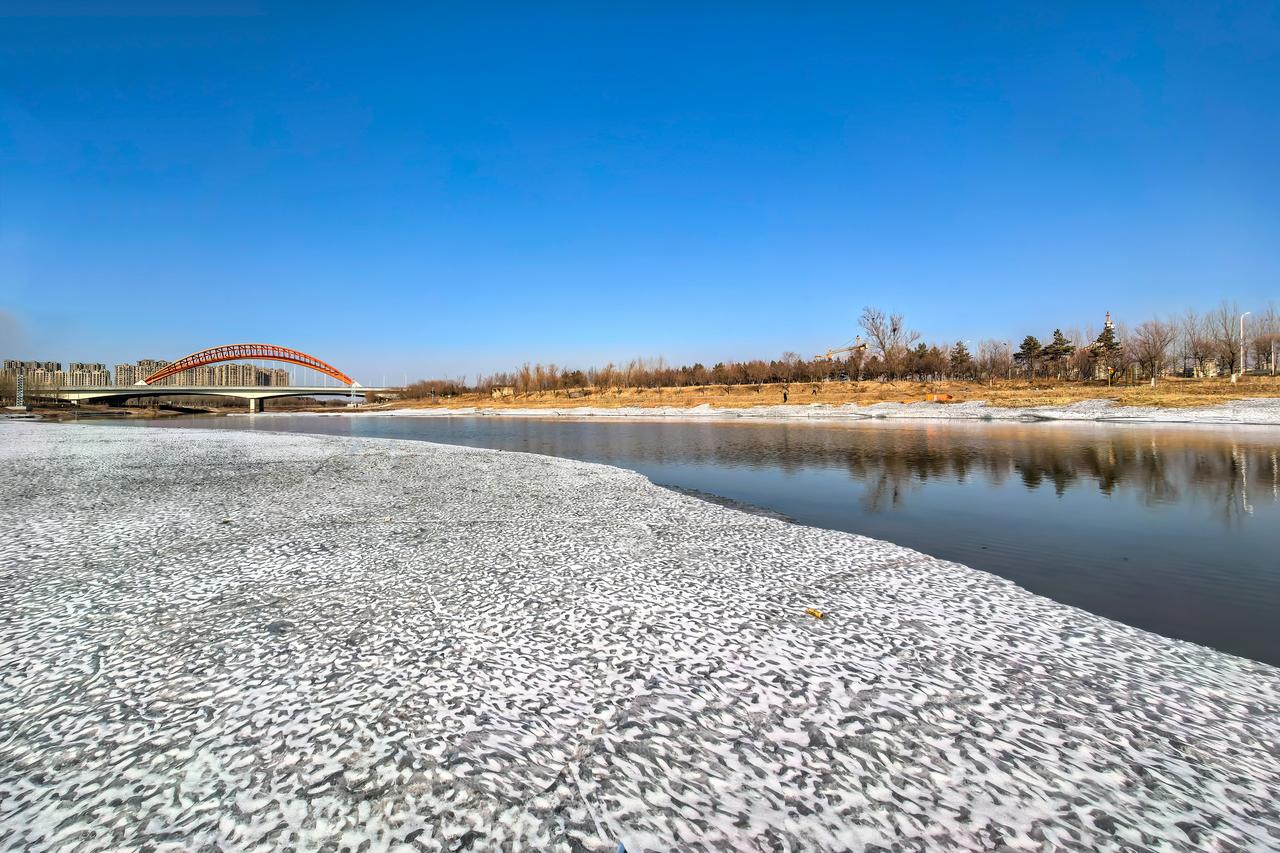 桃花水
冰河初解漾晴光，
一脉清流送晚霜。
岸柳含烟舒嫩色，
桃花带雨吐幽香。