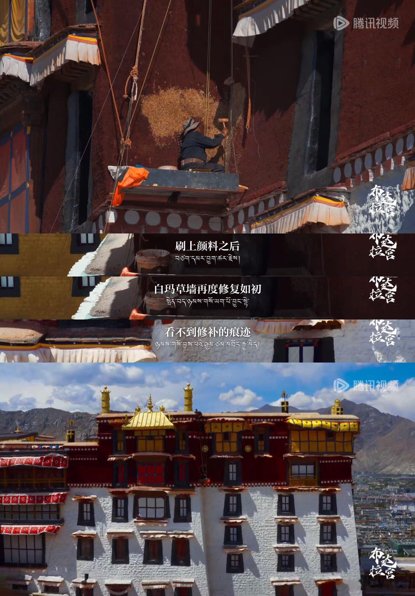 #布达拉宫为什么要用草筑墙##原来布达拉宫的墙是用草筑的# 在雪域高原的璀璨明珠