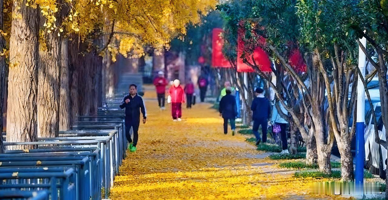 只要出门，你会发现各种“抢”。

开车抢路，拐弯抢路，电动车抢路，自行车更是抢路