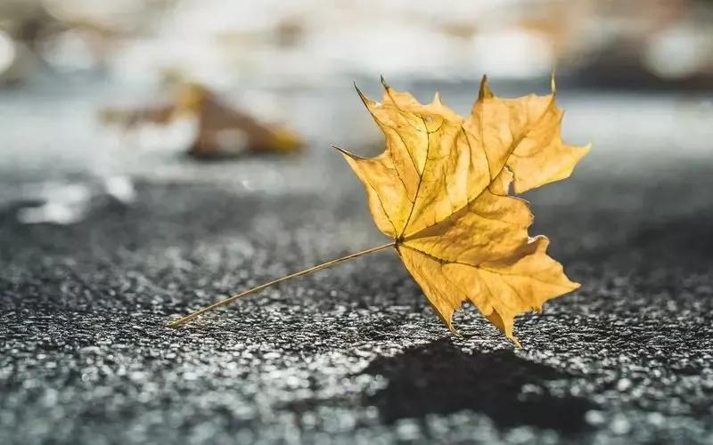 看清一个人后
该远离就远离
别若即若离
干脆点
别再取悦
任何对自己看不起的人#