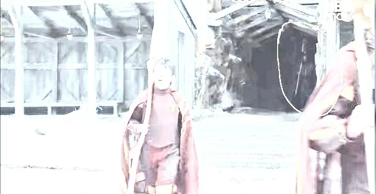 有网友发现这里有一个拿着扫帚的斯内普。把图片调高亮度，能比较清晰的看到……帕帕·