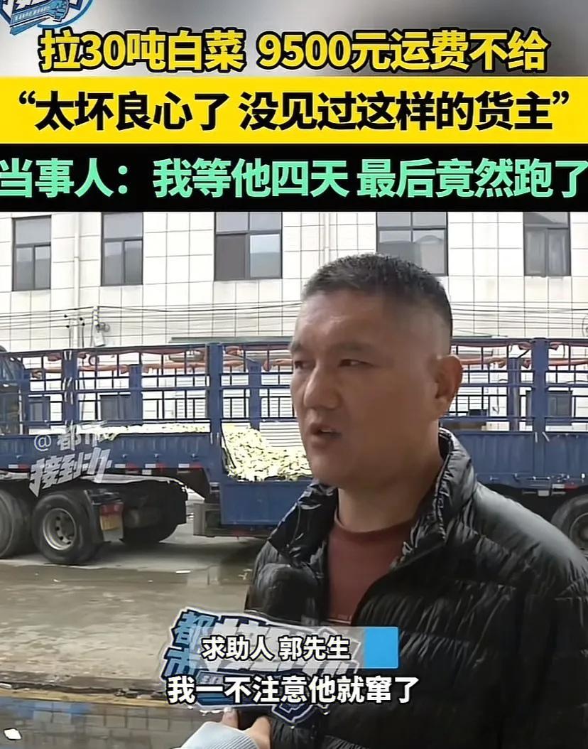 内蒙货车司机郭某连夜跨省拉30多吨白菜到河南，货主承诺卖完货2天内付9500元运