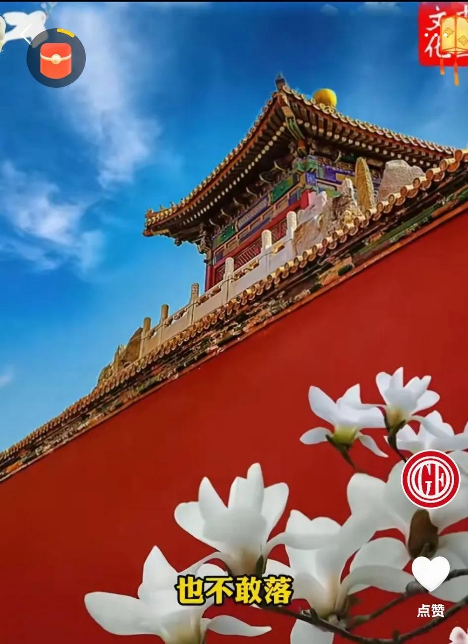 故宫金顶为啥不落鸟儿？
我看了网上一堆叭叭儿的，说得都不靠谱不在理，我认为就一个