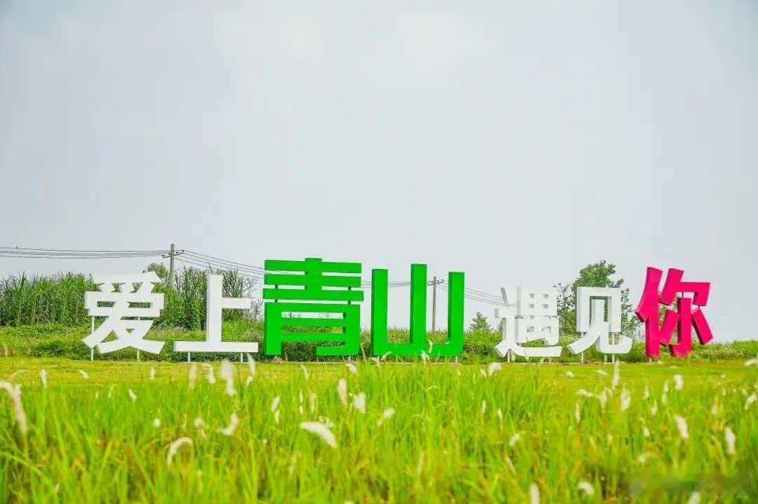 武汉文旅资讯 【旧岸焕新颜 滩地变花海 武汉这里“藏”着诗意生活空间】仲夏六月，