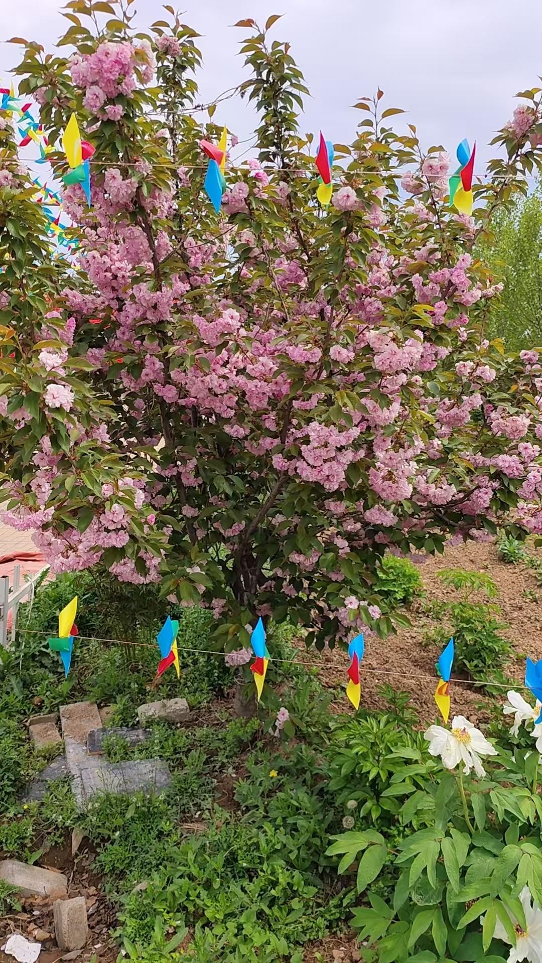 有一天我就发现了，有时候手机里拍的挺好的照片，一上传到头条就会发生不可逆的改变。