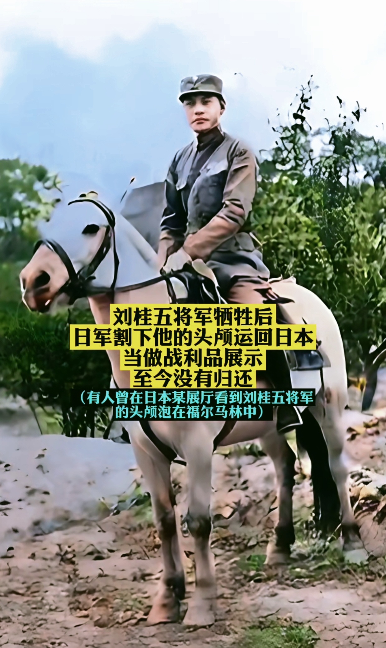 得知抗日英雄刘桂五将军牺牲后，他的妻子刘素珍飞身上马，手握双枪，带领6师剩余将士