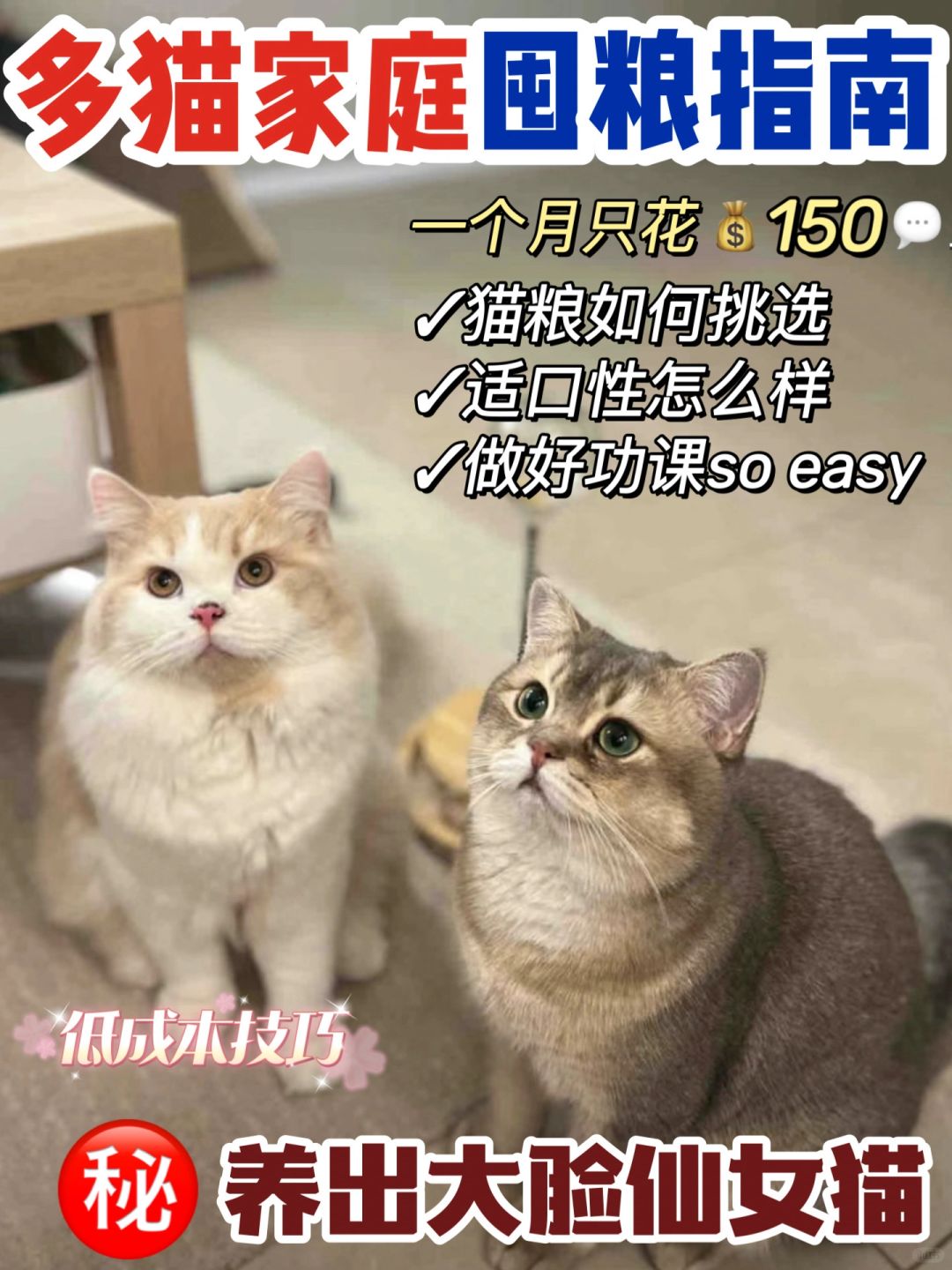 猫咪囤粮指南｜多猫家庭自用分享！