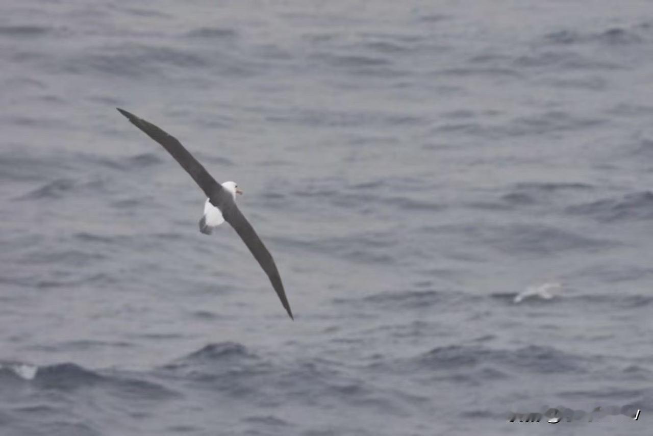 周四武汉地铁客流量保持在391万人次左右[呲牙][呲牙][呲牙] 爆料 身边事 