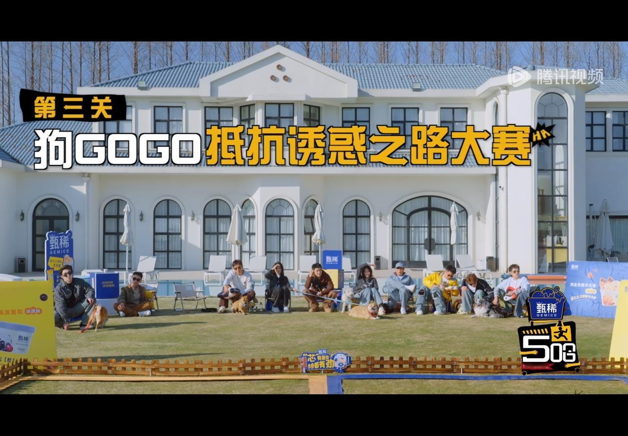这名字起的“够够够抵抗诱惑之路大赛”这个诱惑入大赛，我觉得没几个狗能抵住那个诱惑