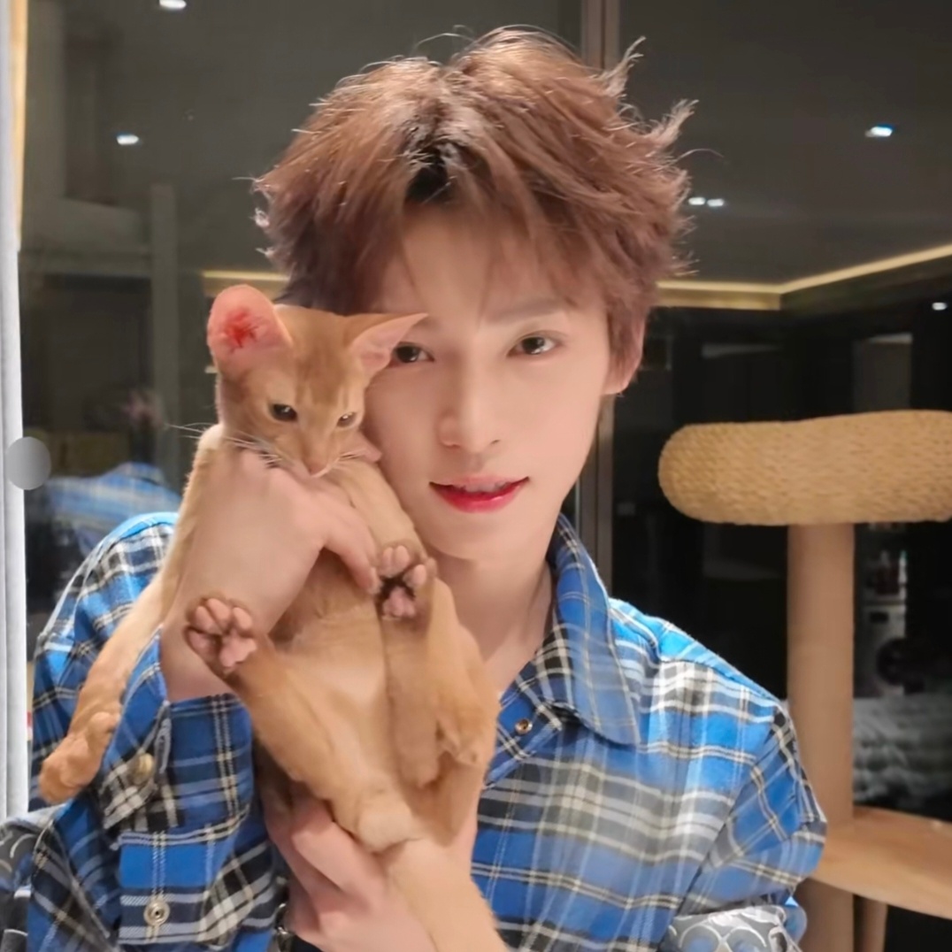 好美好的画面……看别人都是小猫喜欢蹭人，梓梓喜欢用脸蹭咪咪