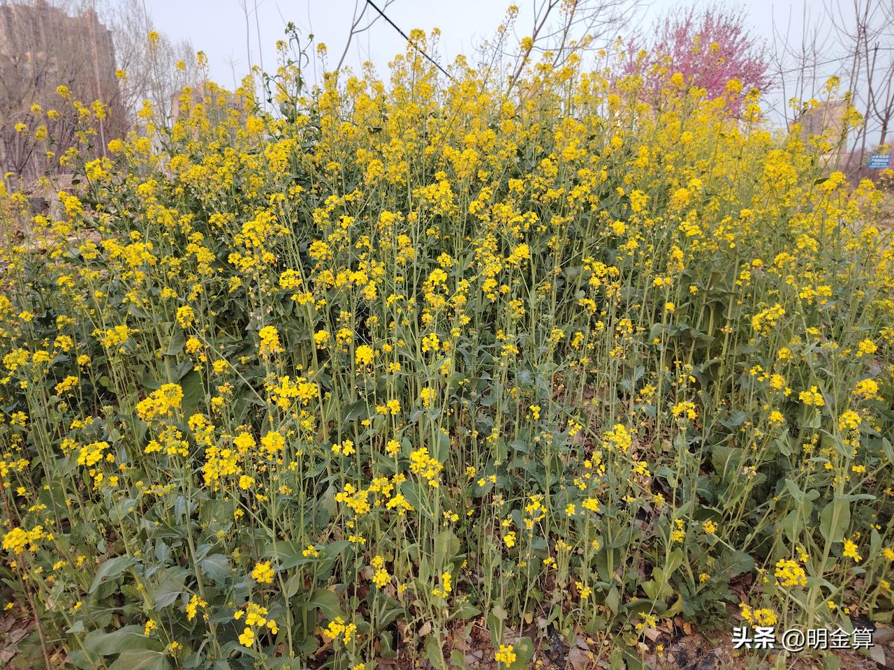 17岁的幼师家长放心吗？如今的配班老师，初中学渣考不上高中，学幼教，17岁就上班