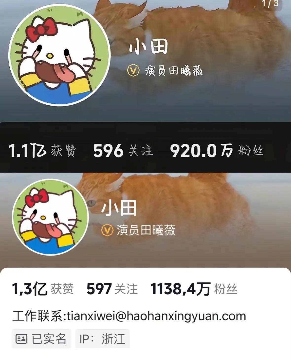 你们都很厉害👍 全员上桌