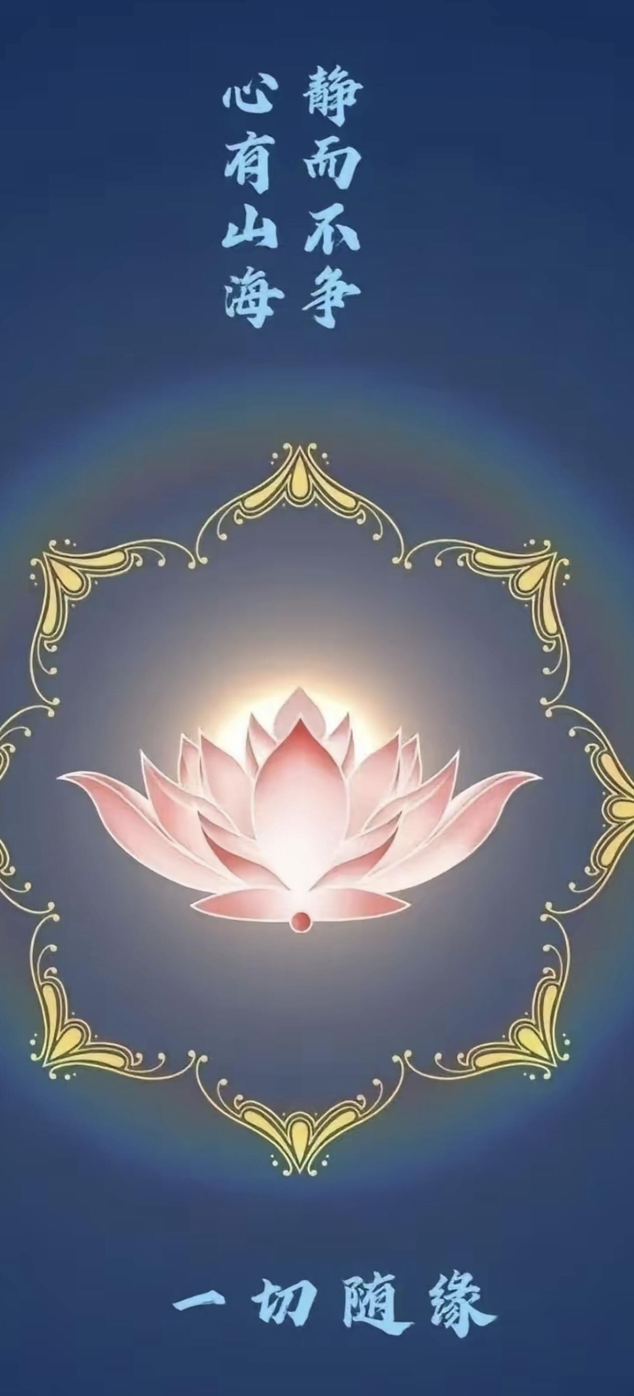 感谢大家的一路支持，不一一道谢！在此送上[比心][比心][比心]，喜欢的朋友可以